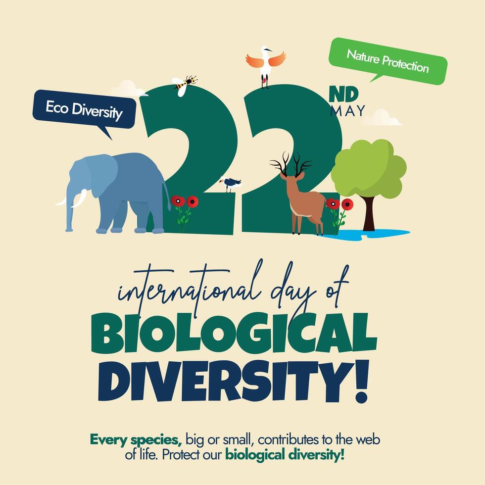 22nd May International Biological diversity banner. International biodiversity day banner, social media post with 22 written in big font and different living species around it elephant, trees, birds vector