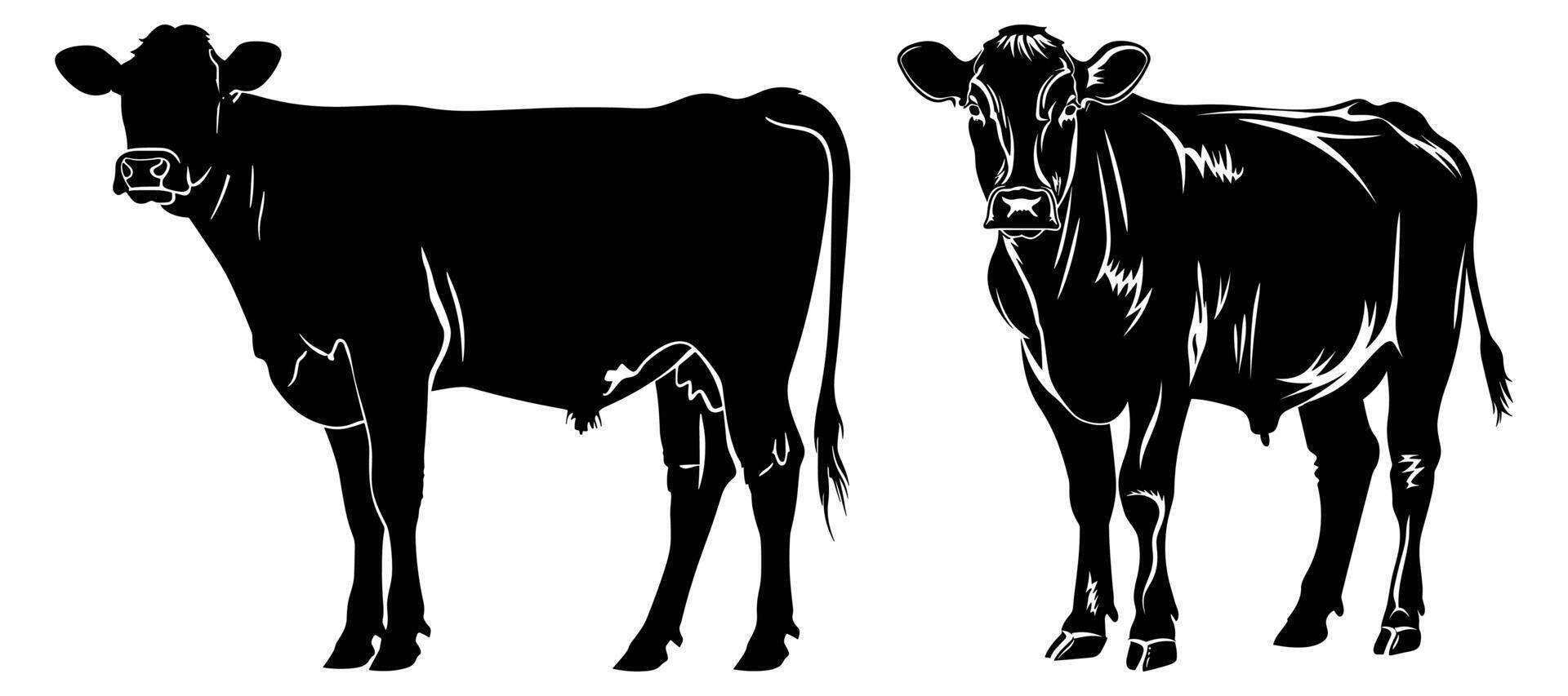 Cow Silhouette isolated on a white background. vector