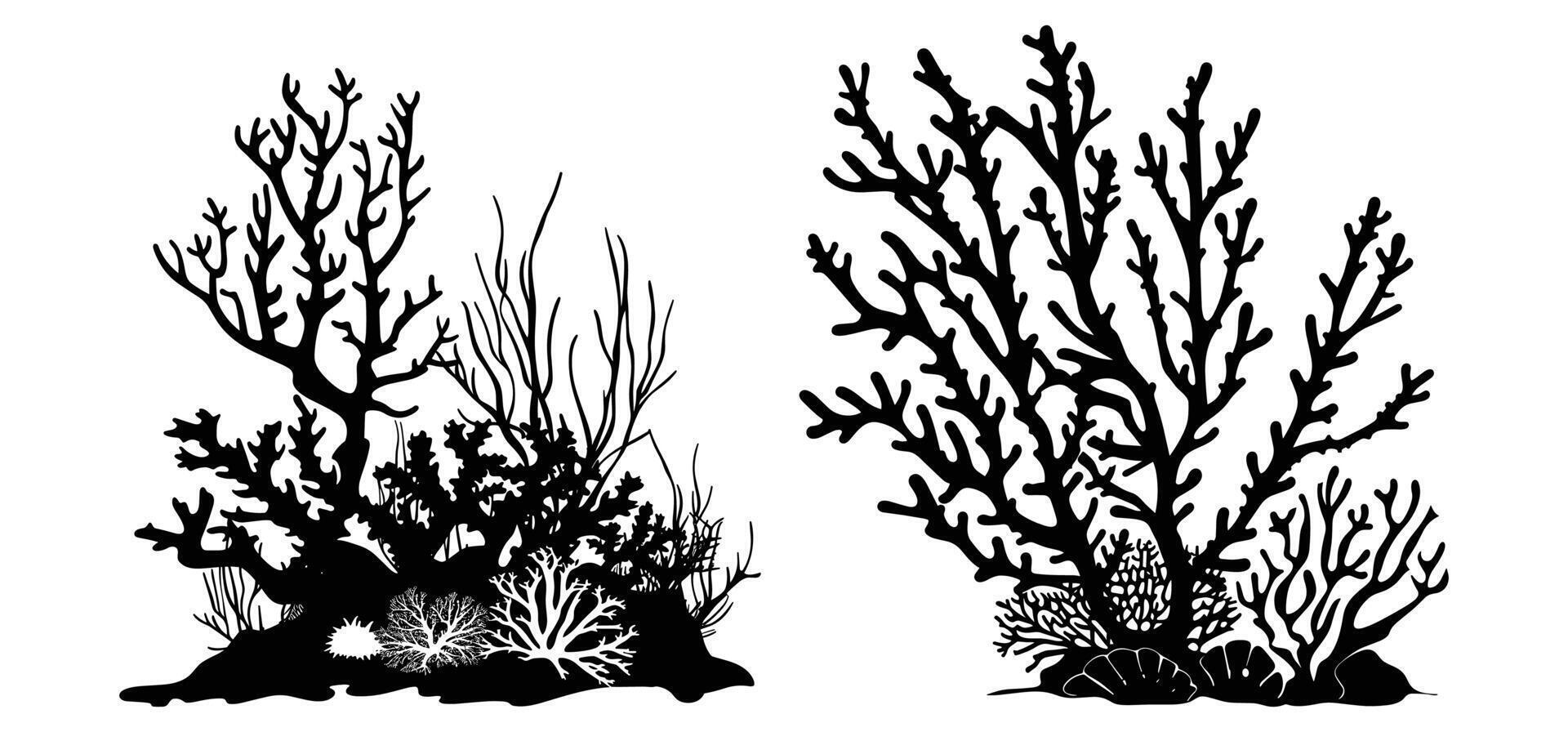 A Coral Reef Silhouette isolated on a white background. vector