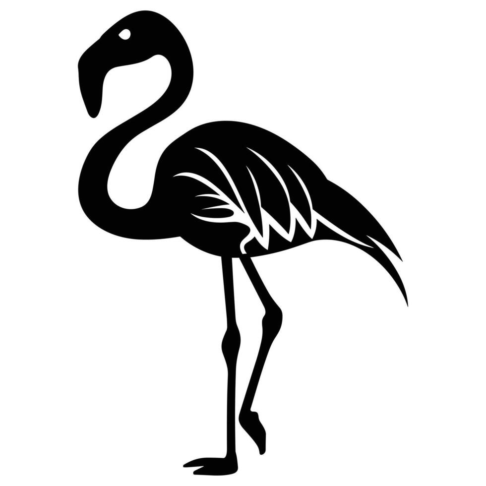 A Flamingo Silhouette isolated on a white background. vector