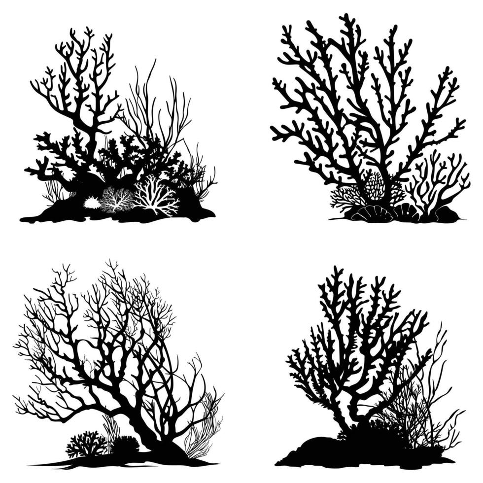 Coral Reef Silhouette isolated on a white background. vector