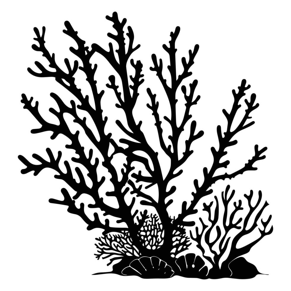 Coral Reef Silhouette isolated on a white background. vector