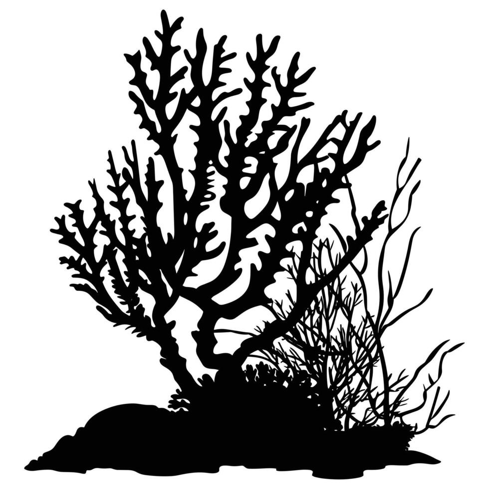 A Coral Reef Silhouette isolated on a white background. vector