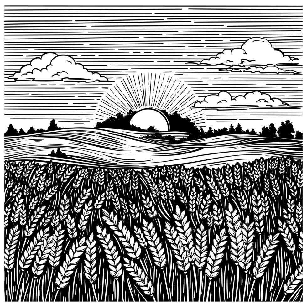 Rural landscape with wheat field, sun, meadow and hillside. Black and white ink illustration in sketch line style vector