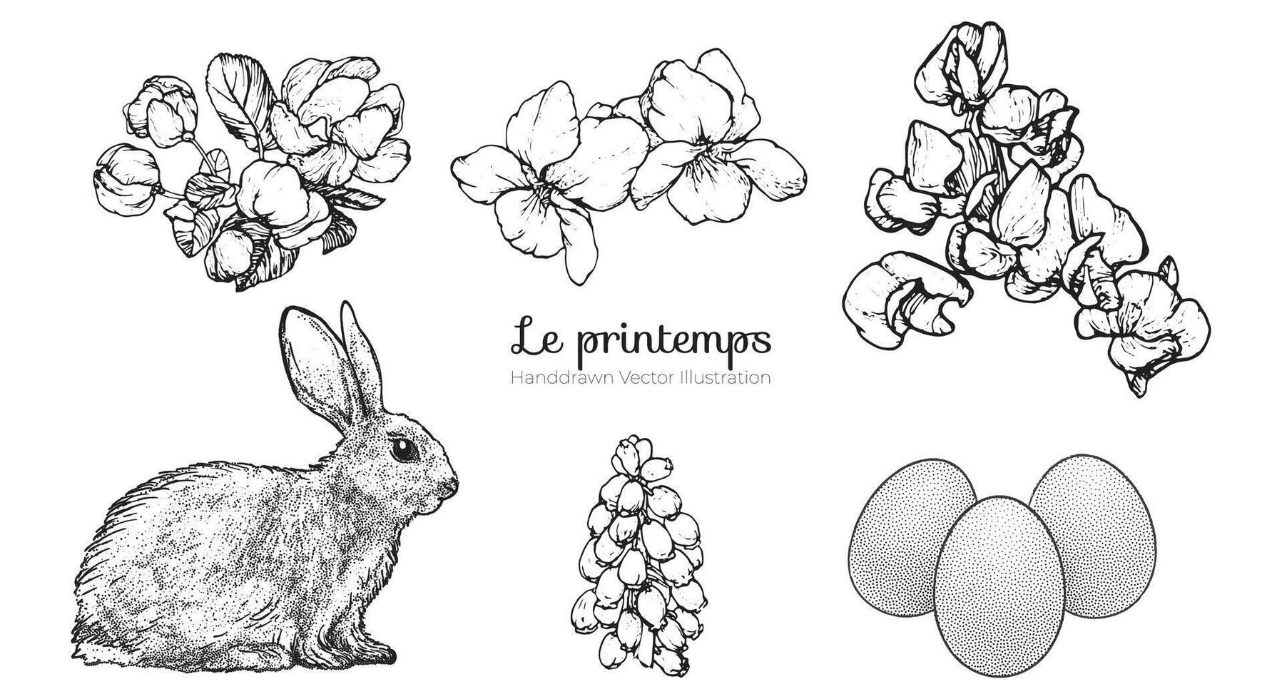 Graphical spring set isolated on white background, illustration vector