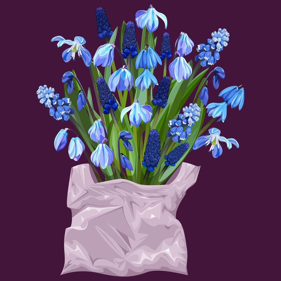 Bouquet of snowdrops and muscari in a bag on a dark background vector