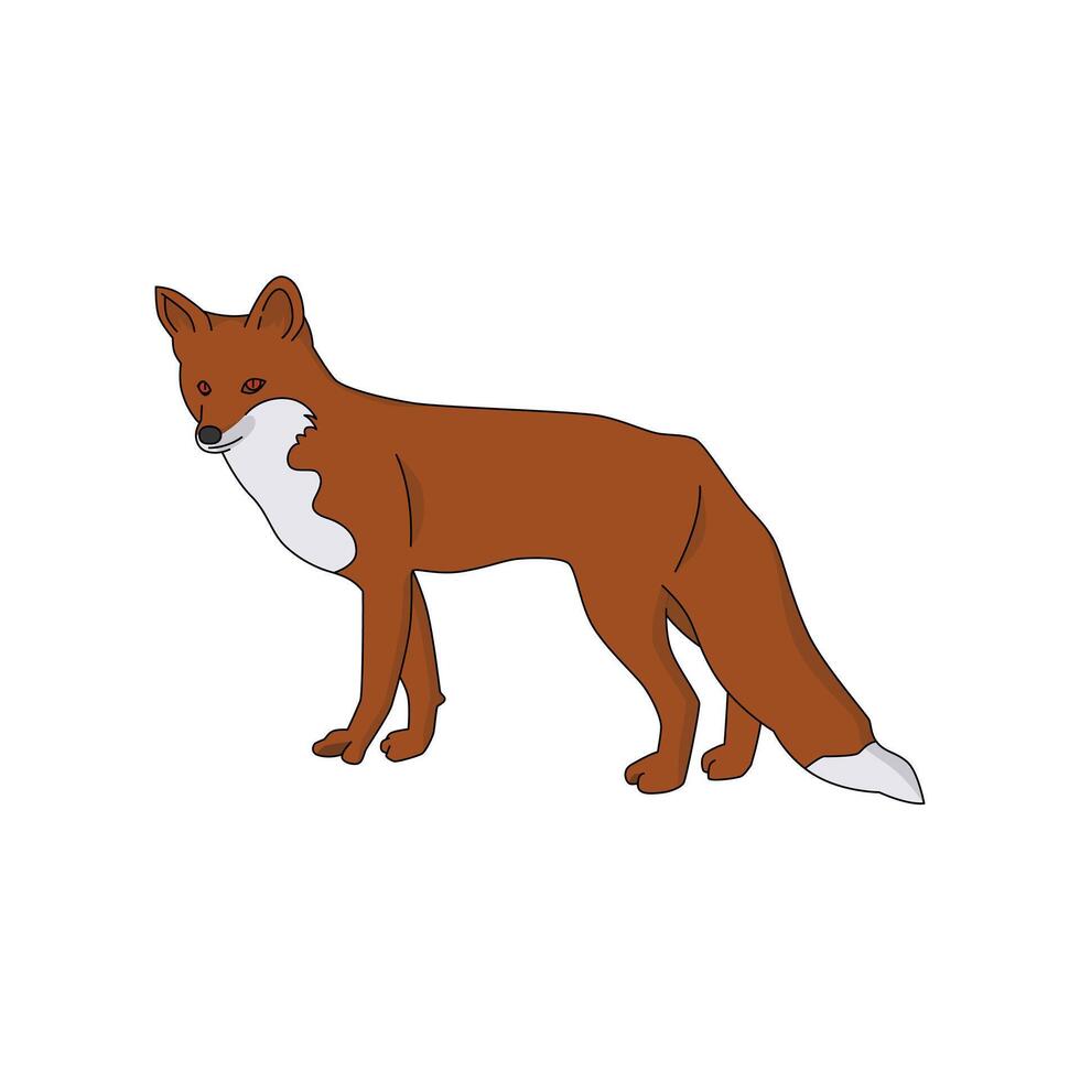 Fox illustration design isolated in white background vector