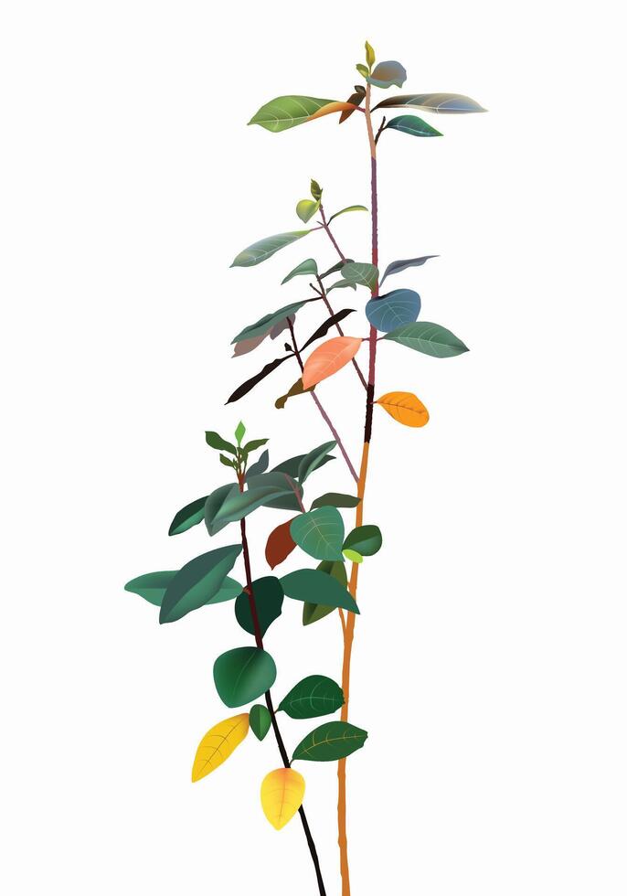 verde, amarillo, naranja hojas con ramas aislado en blanco fondo, para antecedentes diseño. vector
