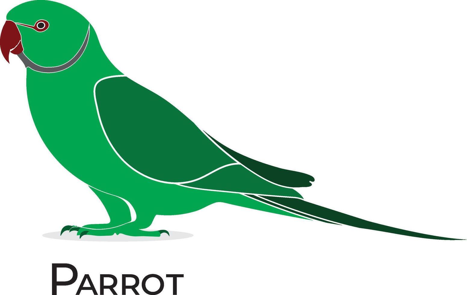 parrot isolated on white background, green vector
