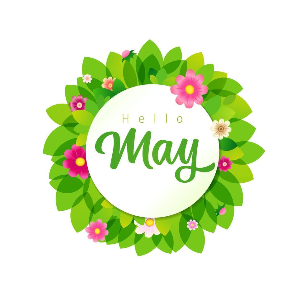 Hello May social media poster. Network timeline story greetings. Green wreath and pink flowers. Isolated round icon. Spring or summer abstract decoration. vector