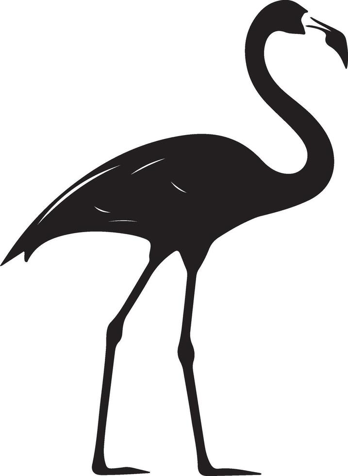 Flamingo Silhouette Illustration White Background vector