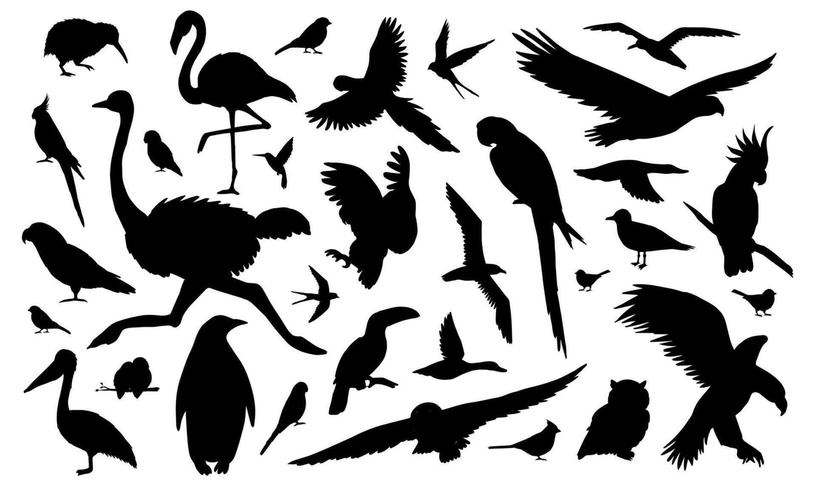 Silhouettes of birds vector