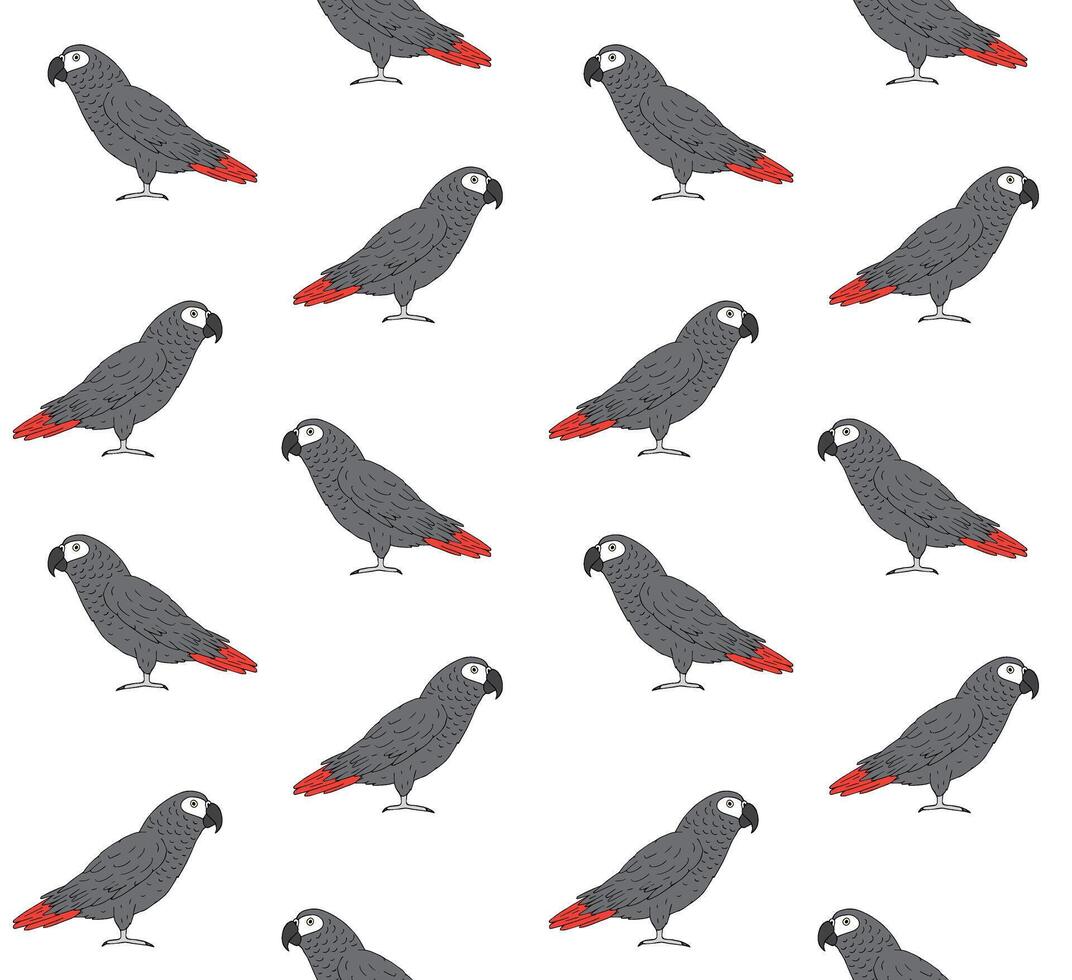 Seamless pattern of hand drawn parrot vector