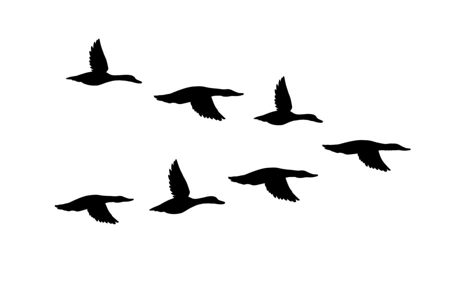 black flock of flying duck silhouette vector