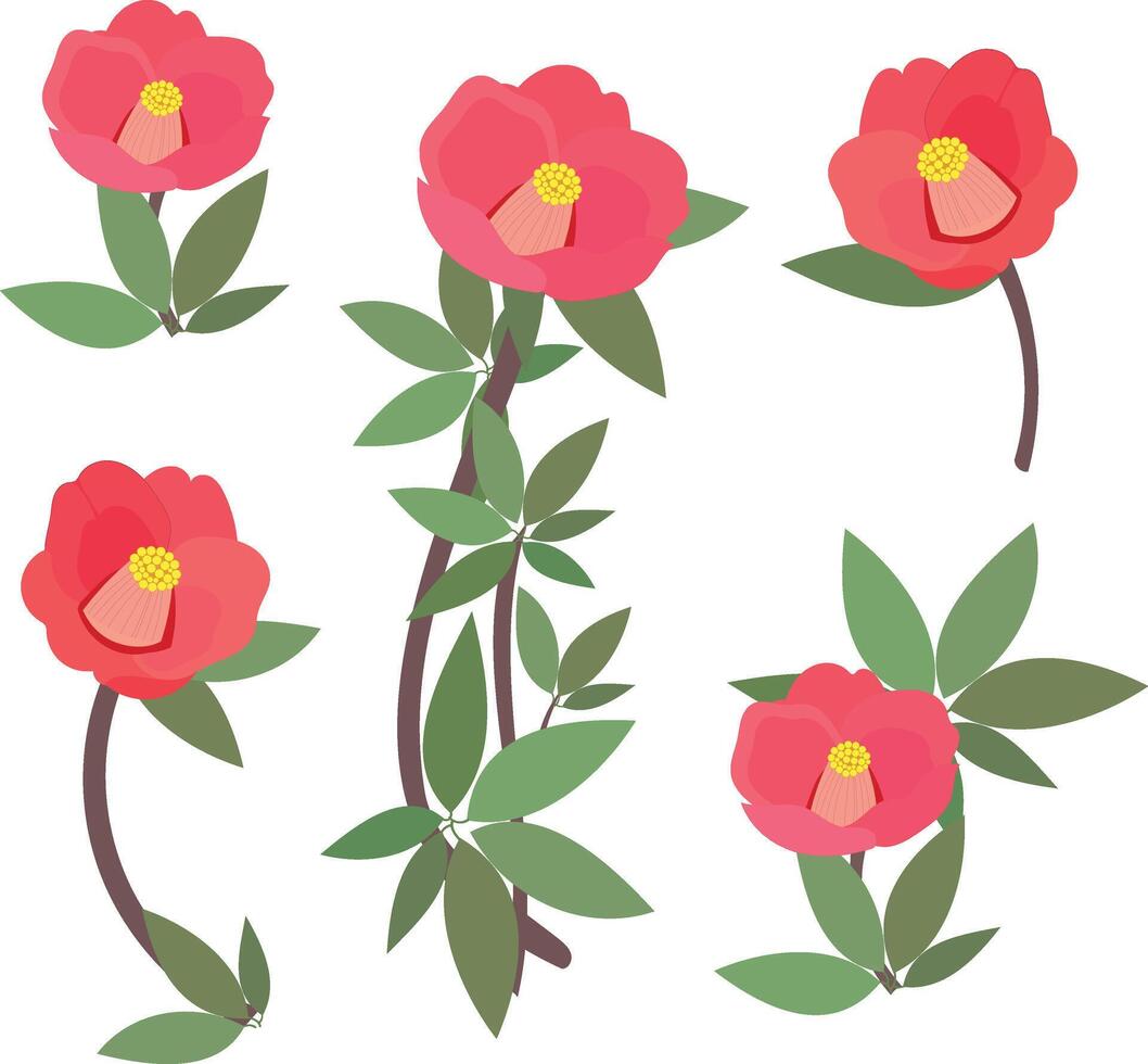 Red beautiful camellia. Set of flowers. Template for an invitation card. Flower buds on a branch. vector