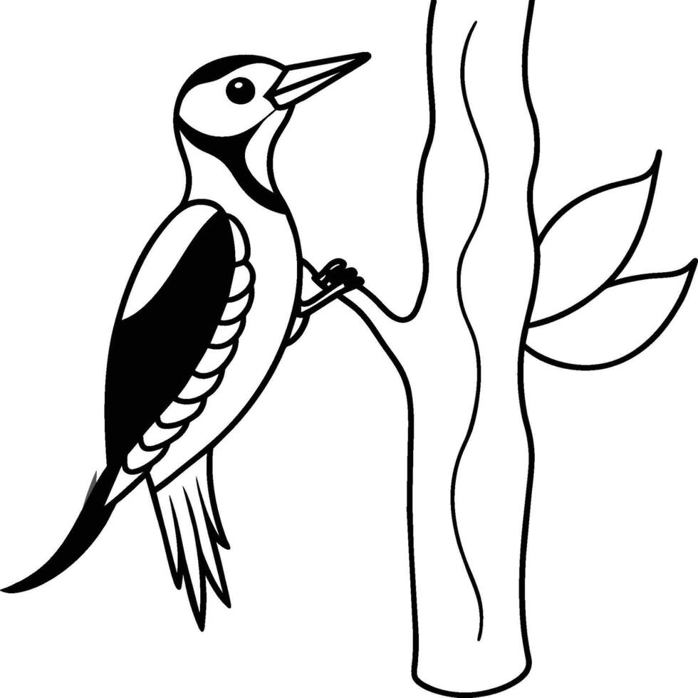 Woodpecker coloring pages. Woodpecker bird outline. Bird line art for coloring book vector