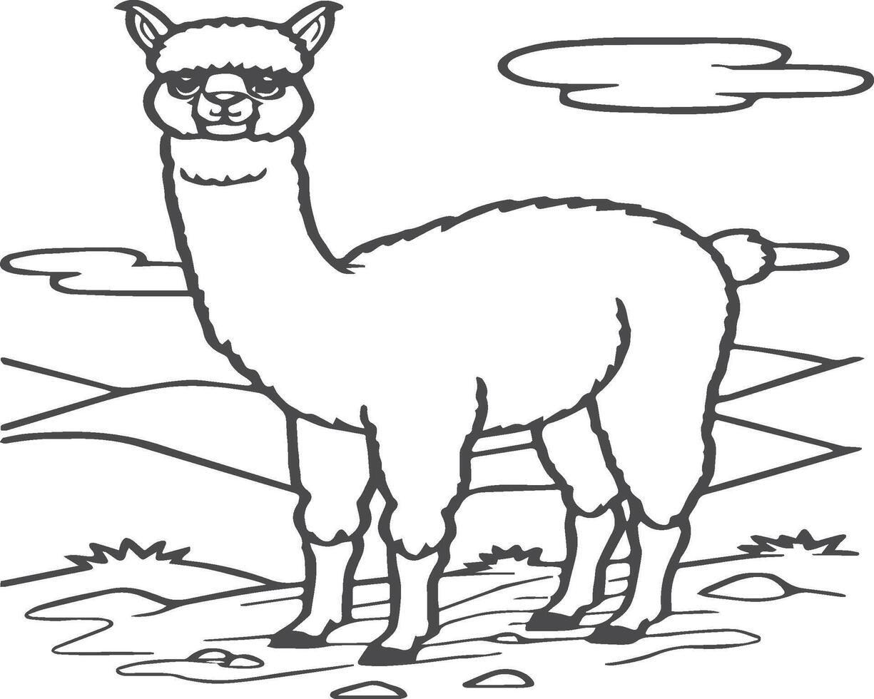 Alpaca coloring pages. Alpaca animal outline for coloring book. Animals Line Art vector