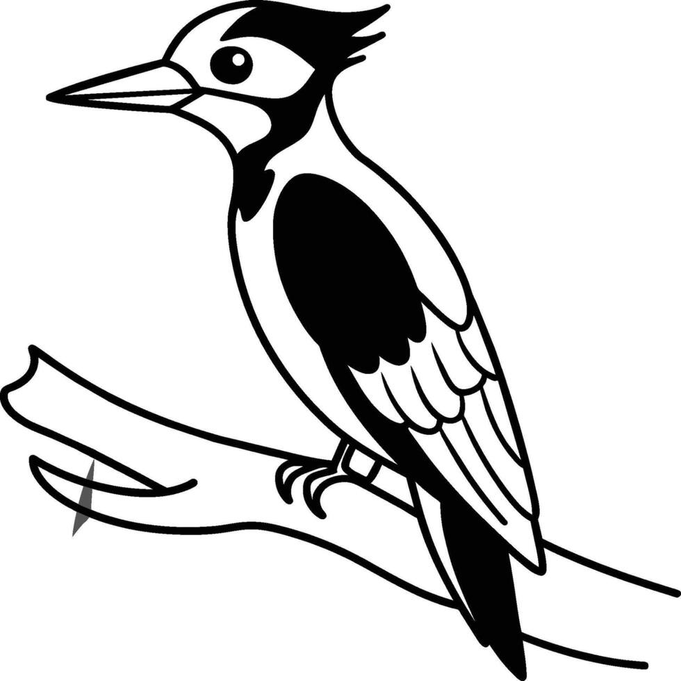 Woodpecker coloring pages. Woodpecker bird outline. Bird line art for coloring book vector