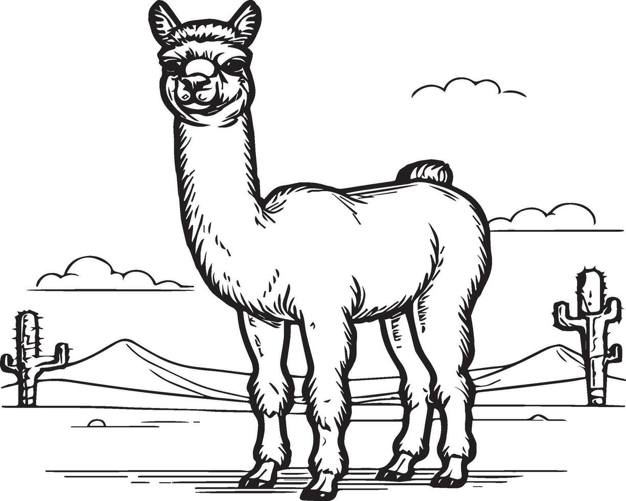 alpaca colorante paginas alpaca animal contorno para colorante libro. animales línea Arte vector