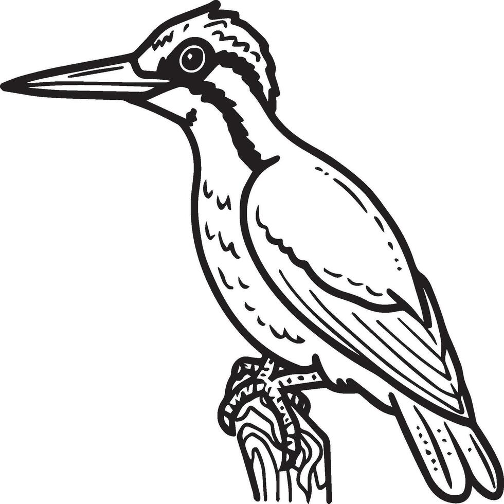 Woodpecker coloring pages. Woodpecker bird outline. Bird line art for coloring book vector