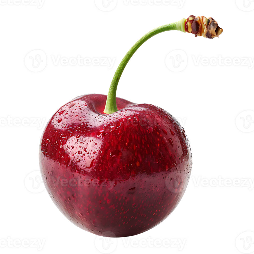 Cherry on isolated transparent background png