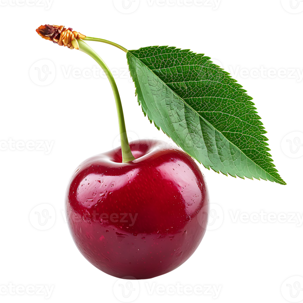 Cherry on isolated transparent background png