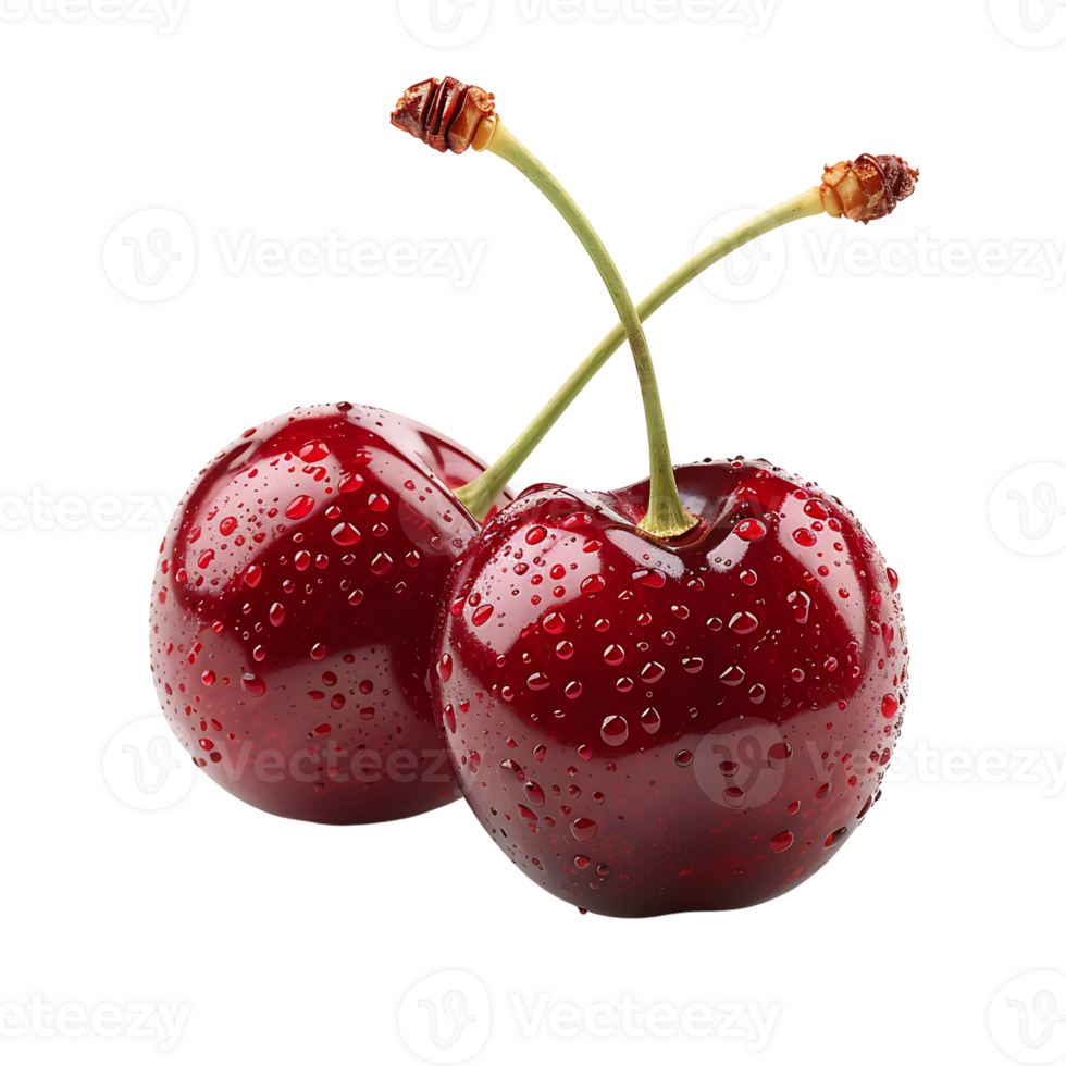 Cherry on isolated transparent background png