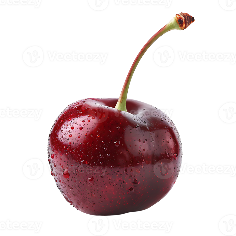 Cherry on isolated transparent background png
