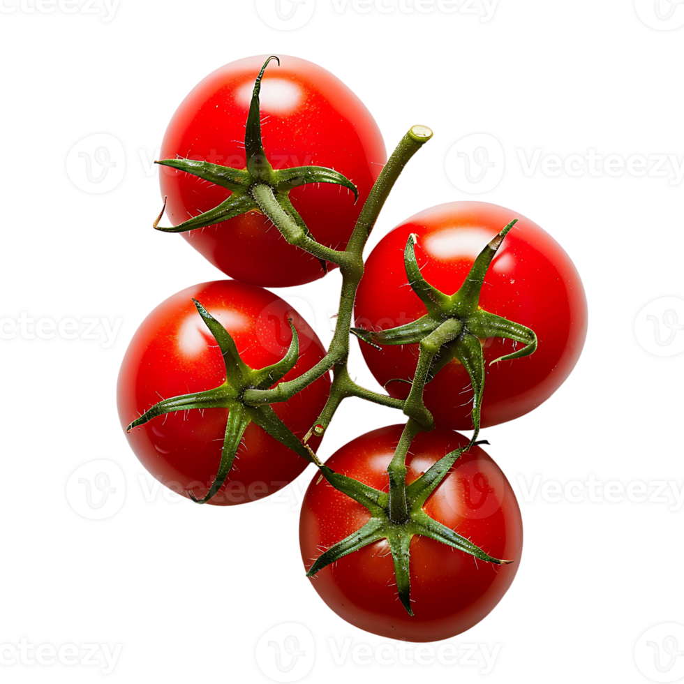 tomate fruta em isolado transparente fundo png