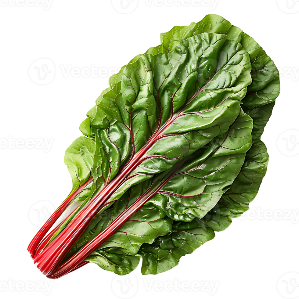 Fresh swiss chard vegetable on isolated transparent background png