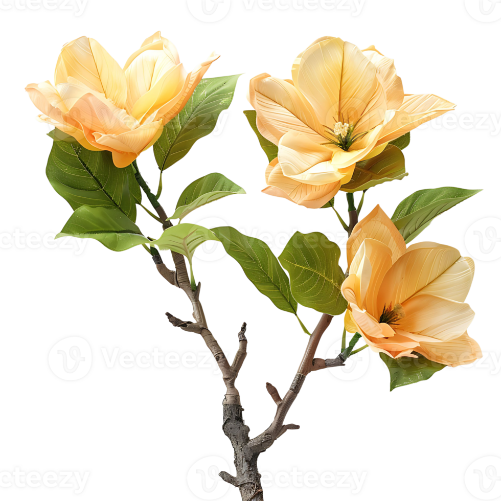 Tulip tree on isolated transparent background png