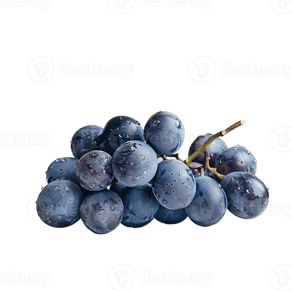 Grape fruits on isolated transparent background png