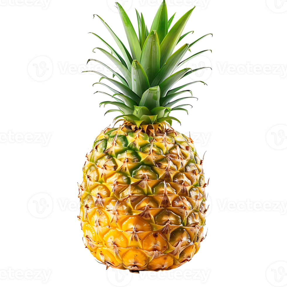 pineapple on isolated background png