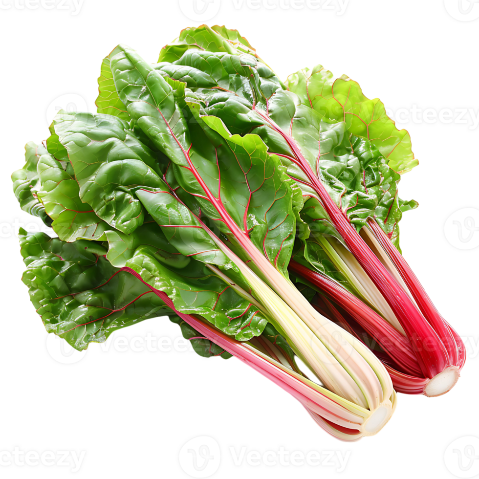 Fresh swiss chard vegetable on isolated transparent background png