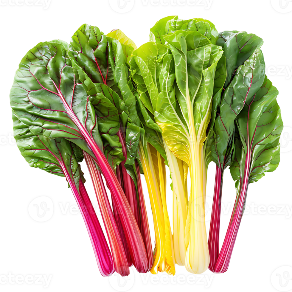 Fresh swiss chard vegetable on isolated transparent background png