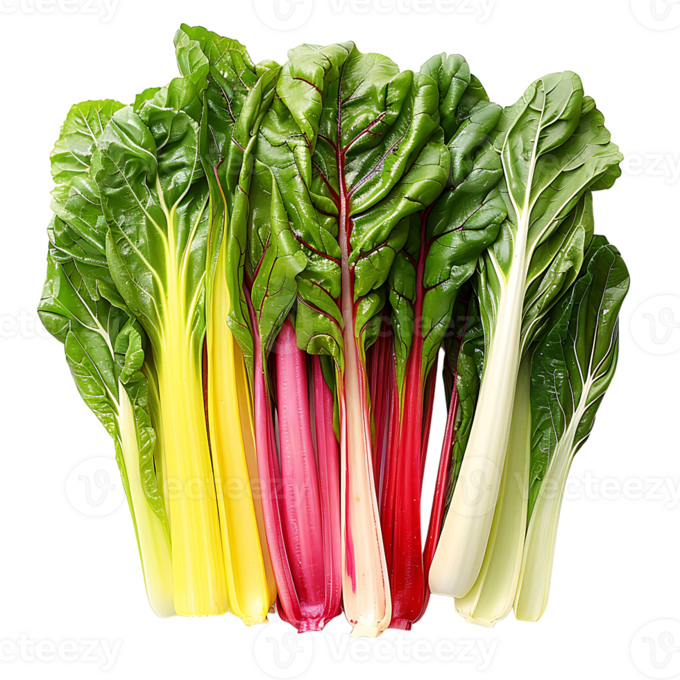 Fresh swiss chard vegetable on isolated transparent background png