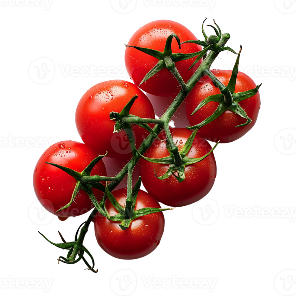 Tomato fruit on isolated transparent background png