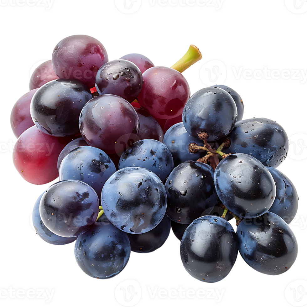 Grape fruits on isolated transparent background png