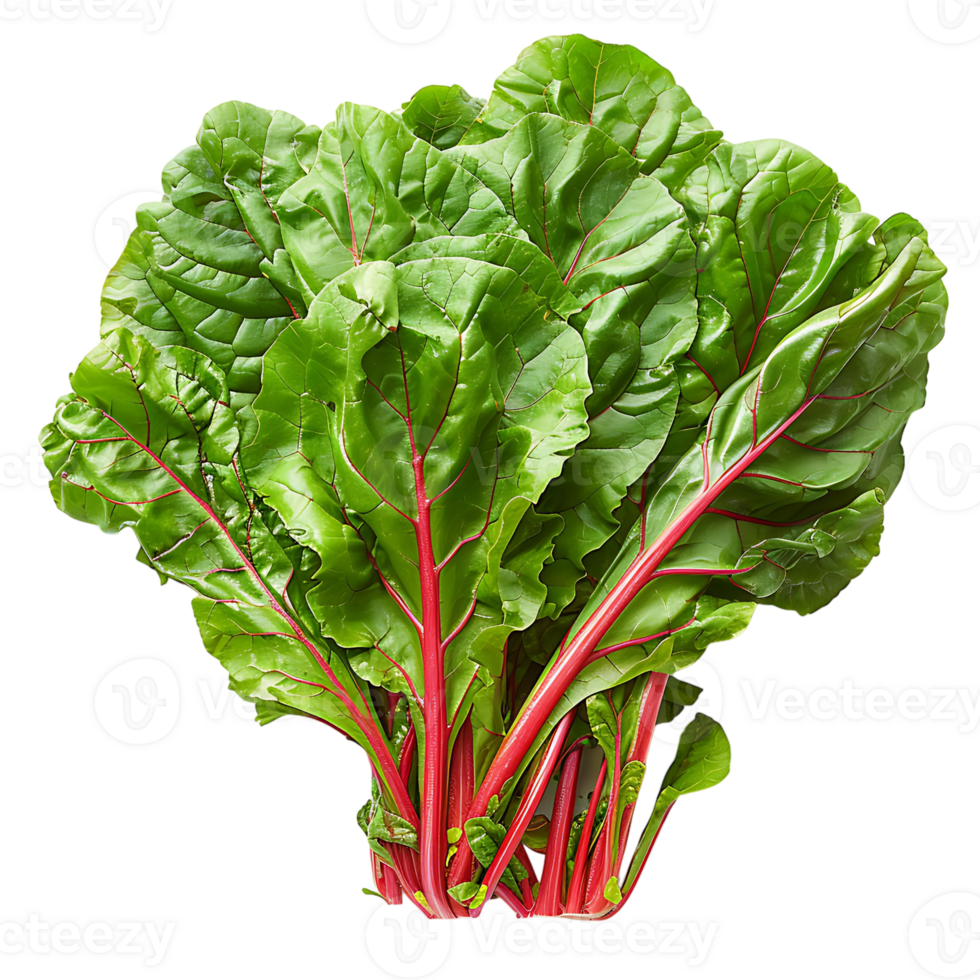 Fresh swiss chard vegetable on isolated transparent background png