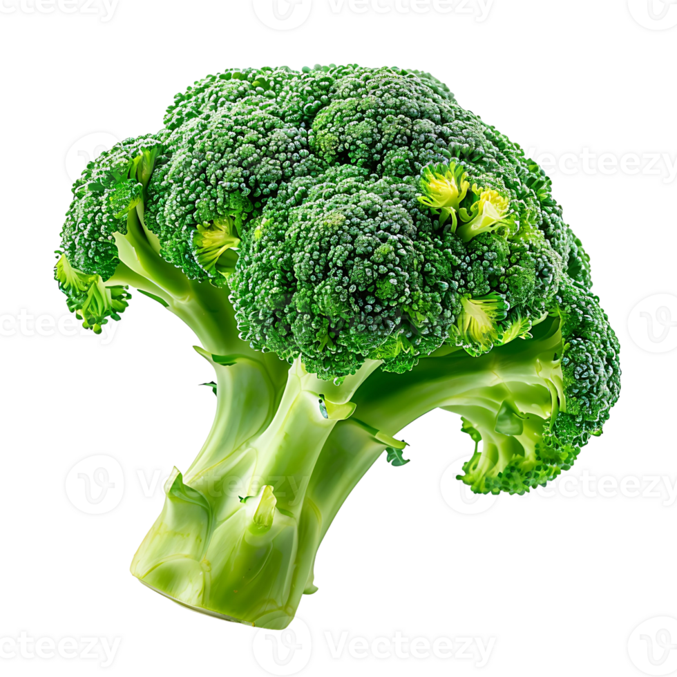 broccoli on transparent Background png