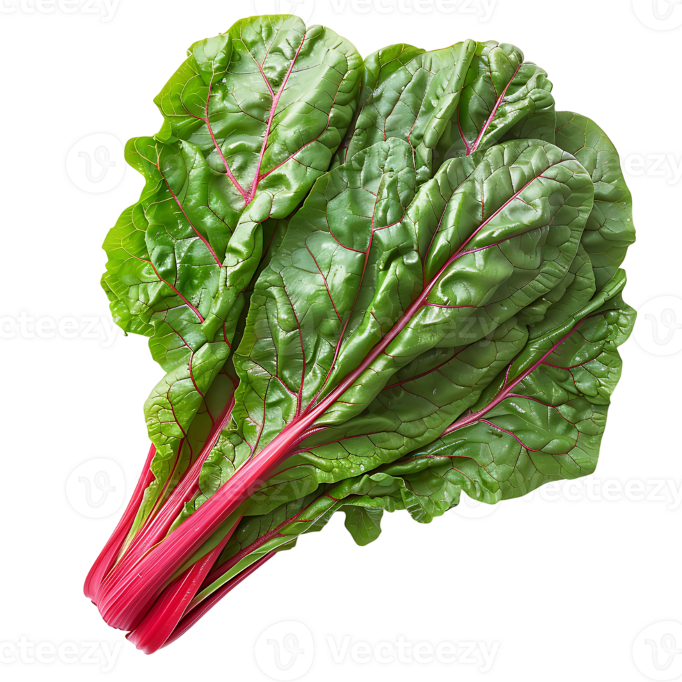 Fresh swiss chard vegetable on isolated transparent background png