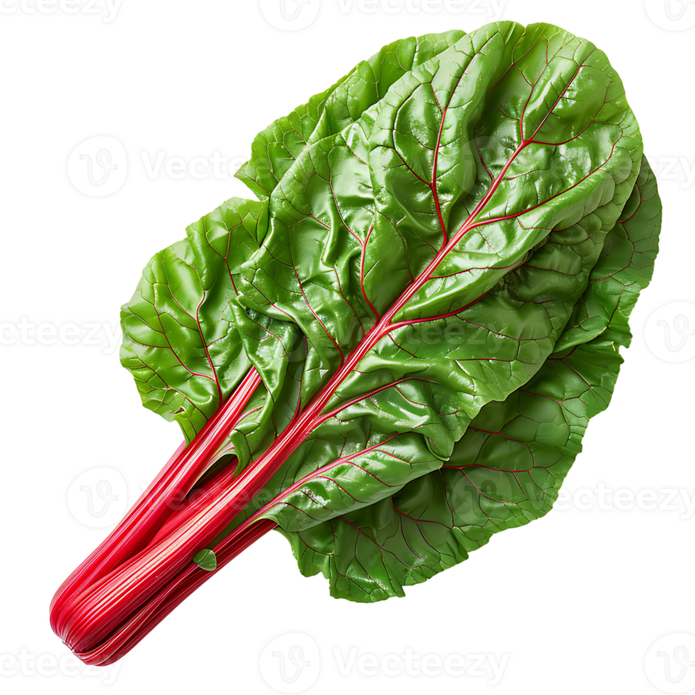 Fresh swiss chard vegetable on isolated transparent background png