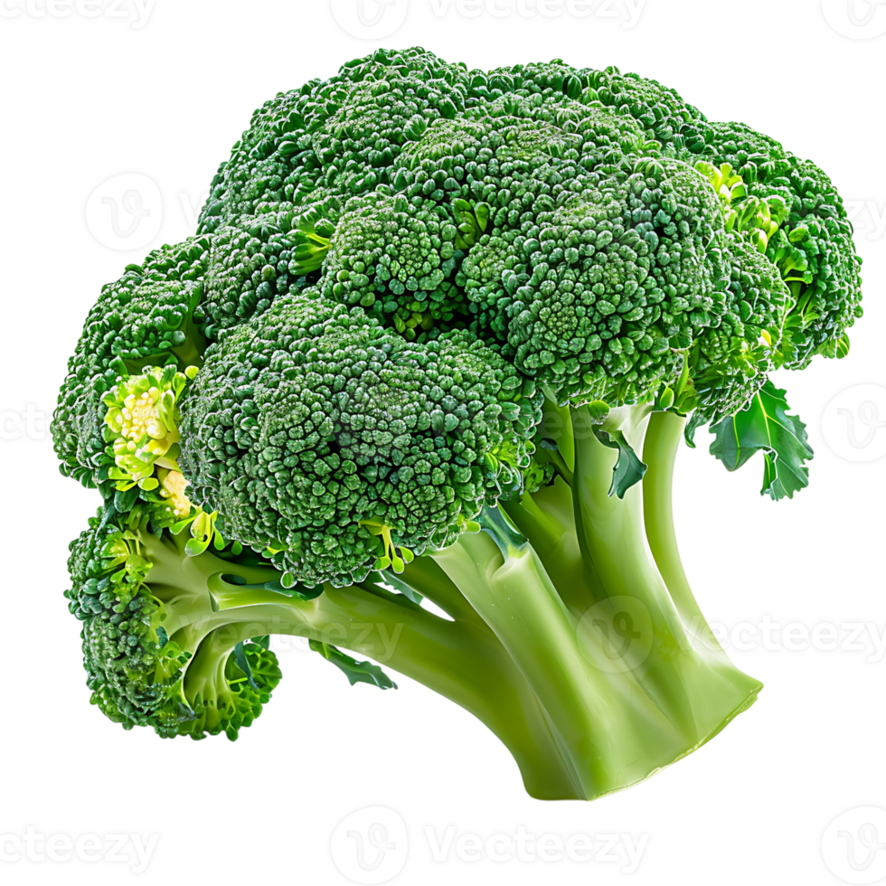 broccoli on transparent Background png