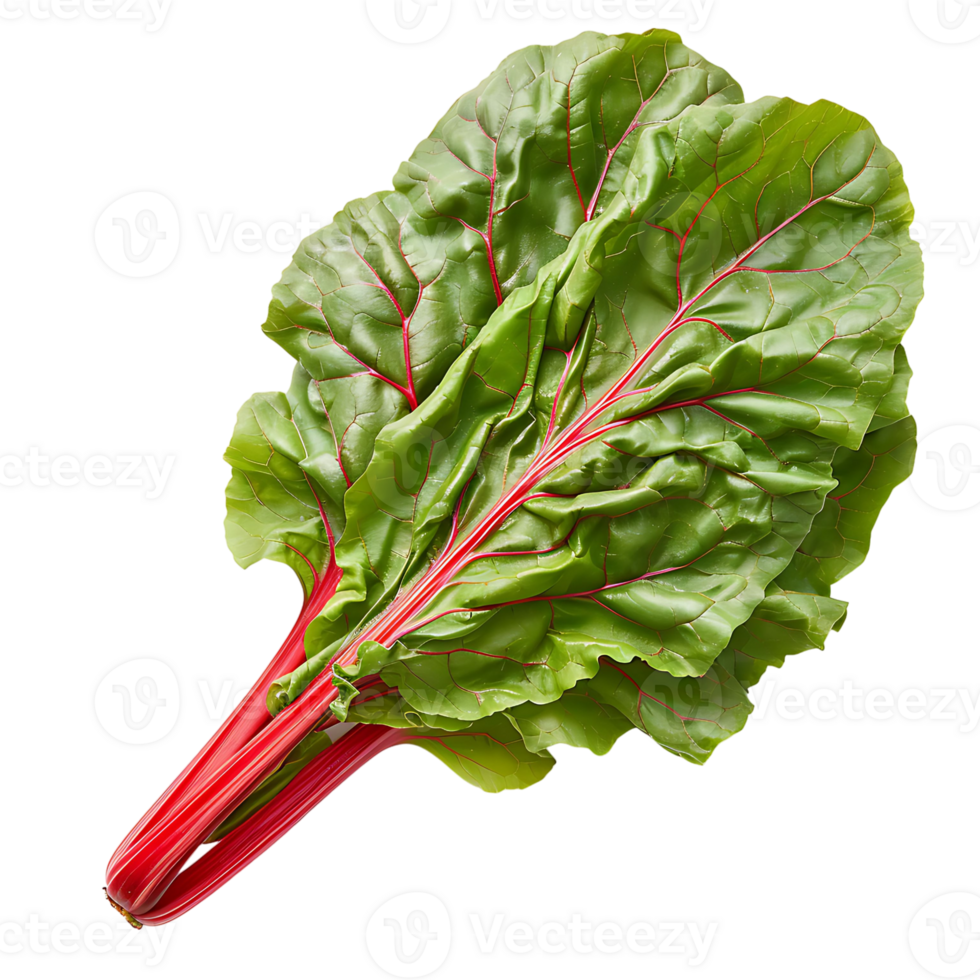 Fresh swiss chard vegetable on isolated transparent background png