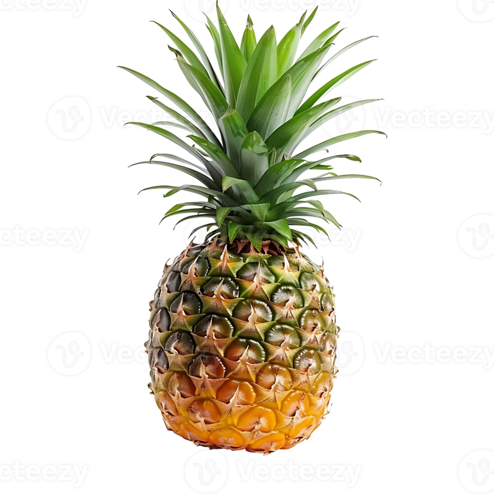 Pineapple on transparent Background png
