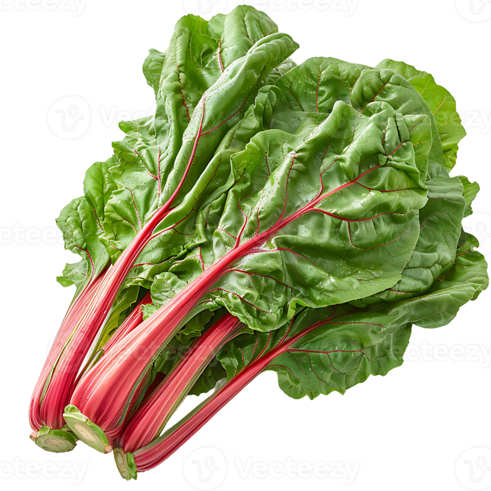Fresh swiss chard vegetable on isolated transparent background png