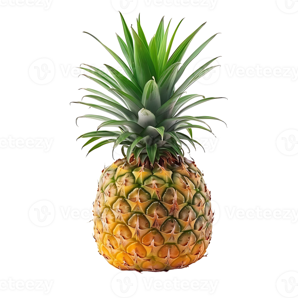 Pineapple on transparent Background png