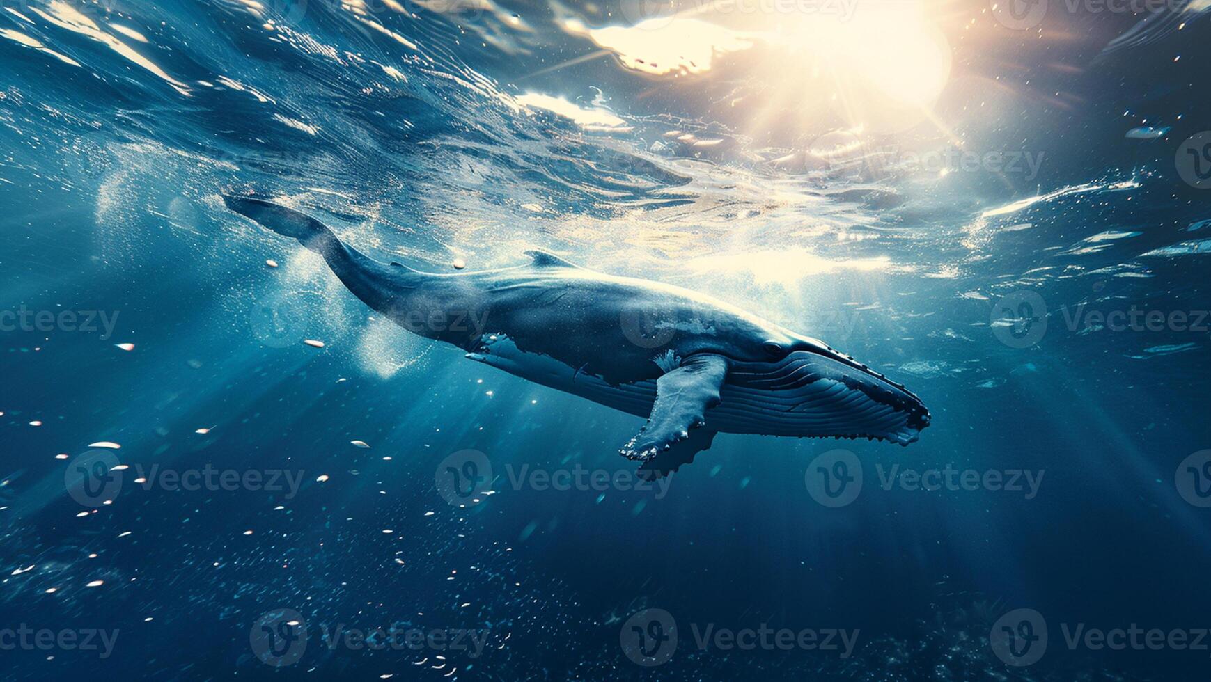 Large whale floating underwater. Concept for World Ocean Day. photo