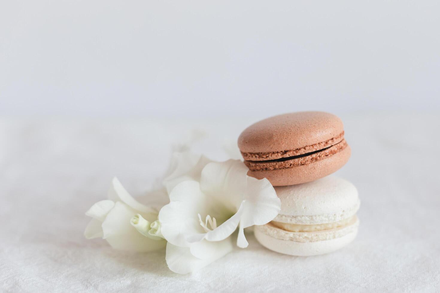 Two French macarons with white flower on a white background. photo
