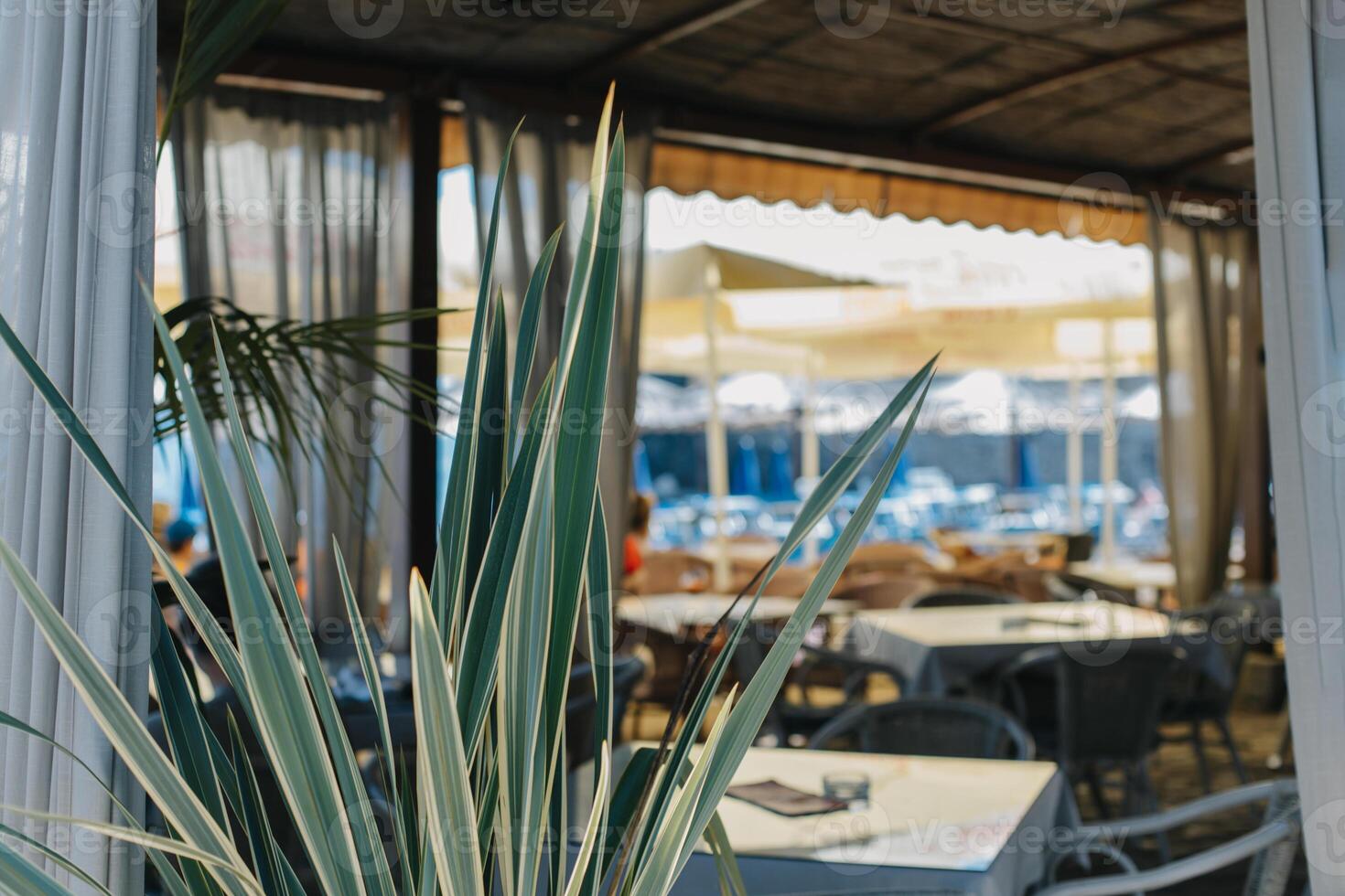 Beach cafe in a summer sunny day near the old town of Budva, Montenegro. photo